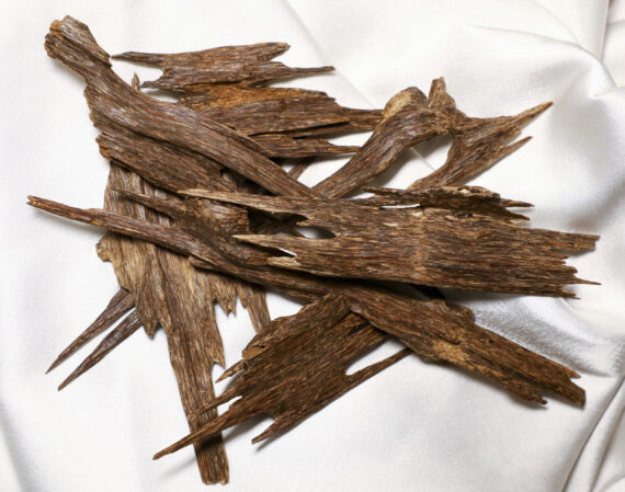 Agarwood Hind Seufi AAA