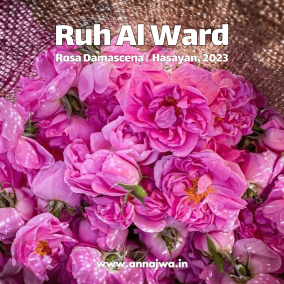 Ruh Al Ward
